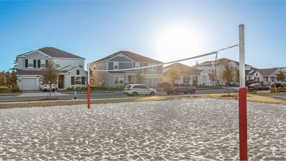 Volleyball court