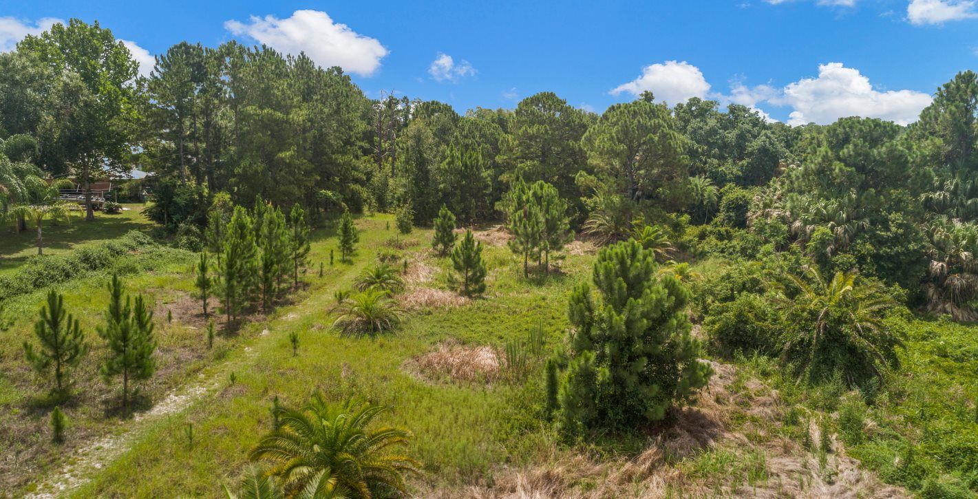 Michael V. Lewis Arboretum Luther C. Parrott Trail