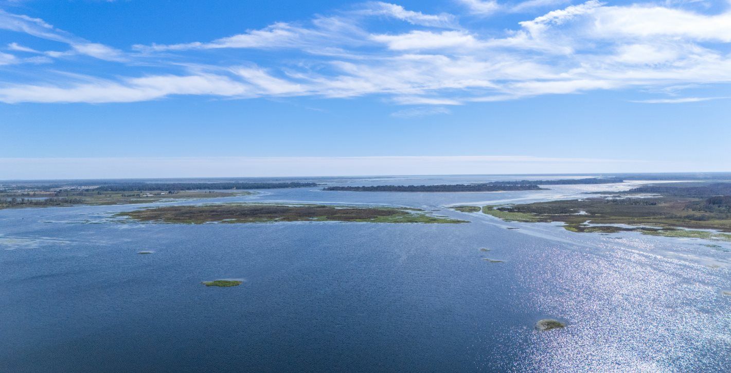 View of Lake Tohopekaliga