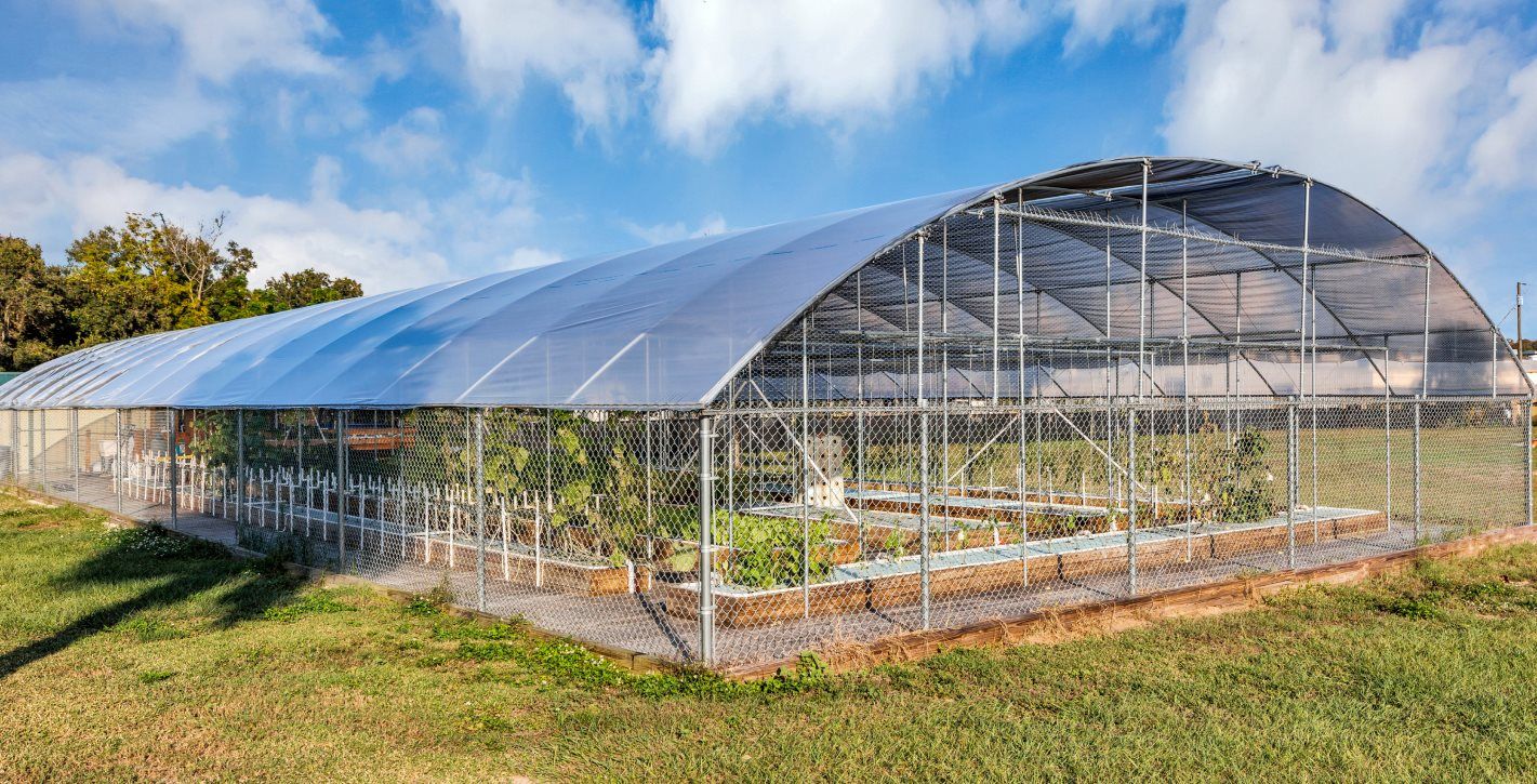 Groveland aquaponics farm