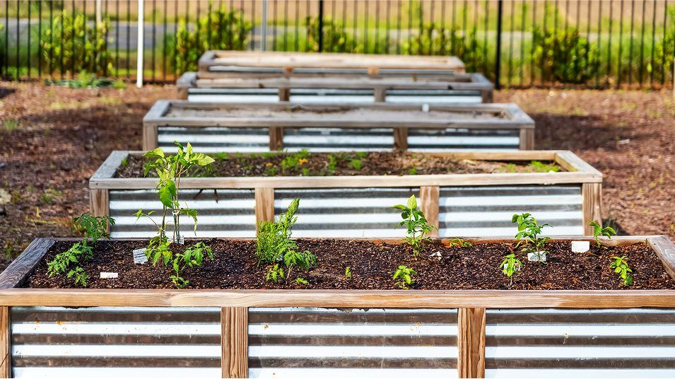 Community Garden