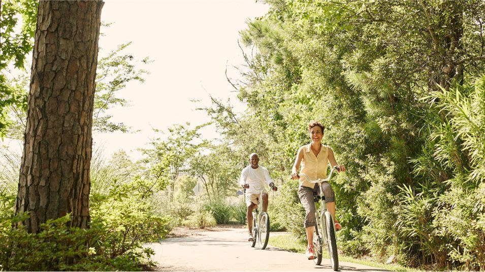 Lindera Preserve trail amenity