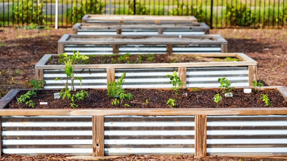 casa en Warner Crossing por Lennar