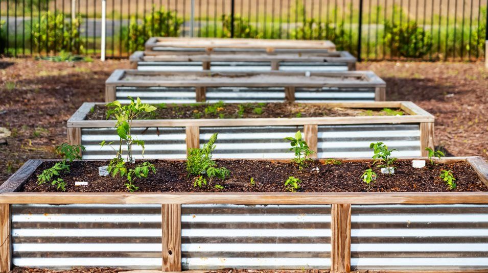 Amenity Garden
