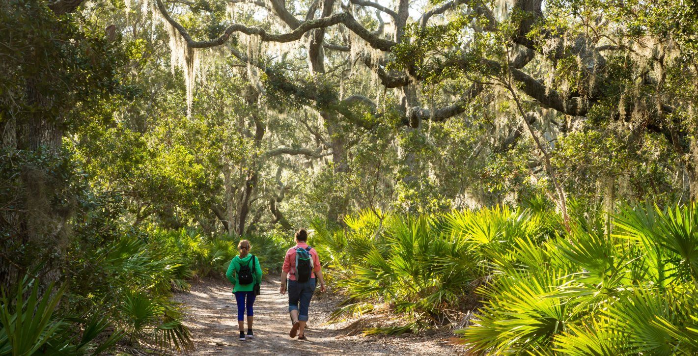 Palmetto Trail