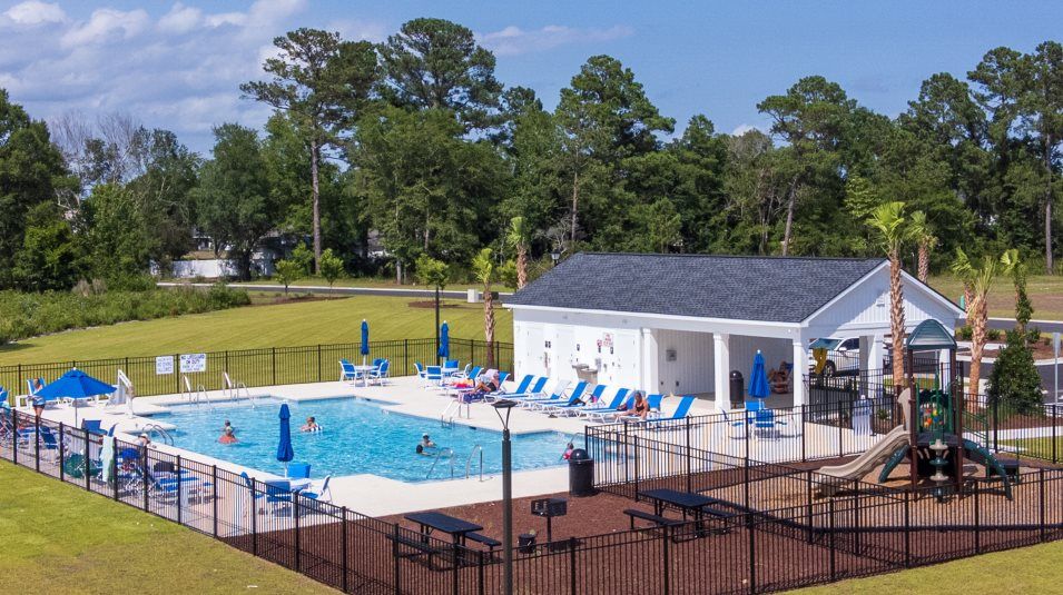Amenity Pool