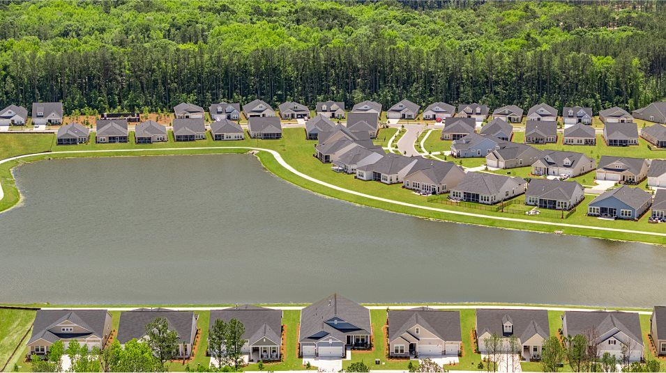 pond