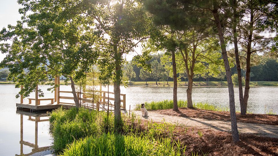 Carnes Crossroads Amenity Lake Dock 081825