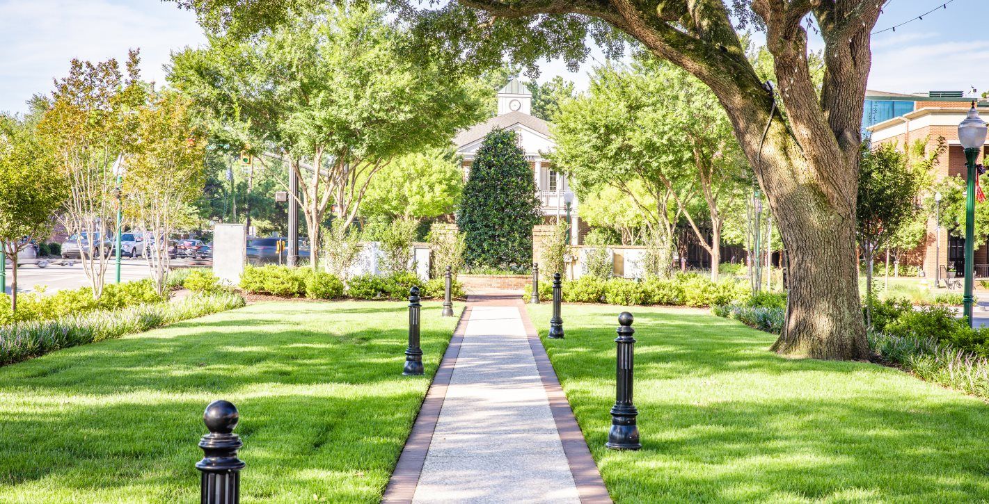 Summerville local park