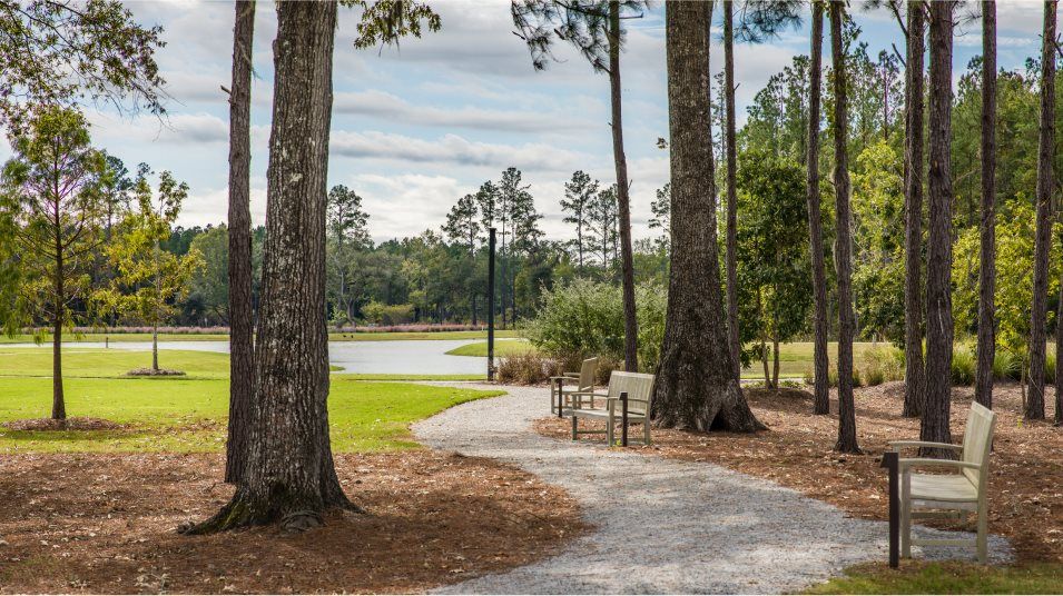 walking trails
