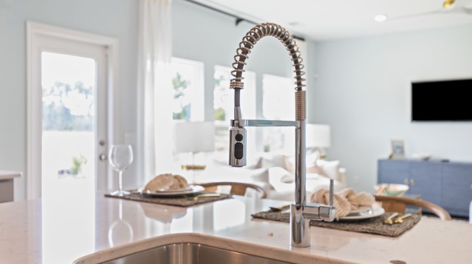 Carolina Azalea Ridge Summers Corner EI Kitchen Faucet F1 100325