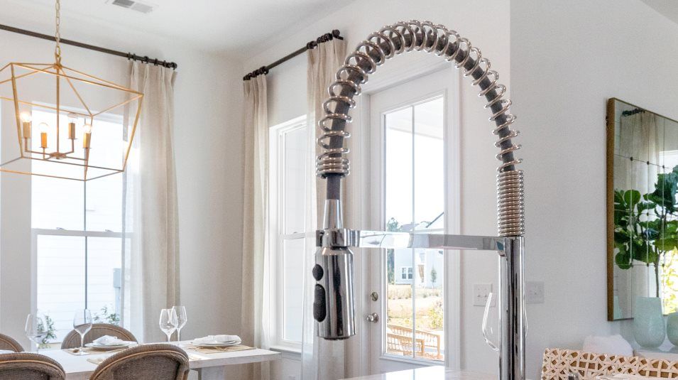 Chrome pull-out faucet and spray