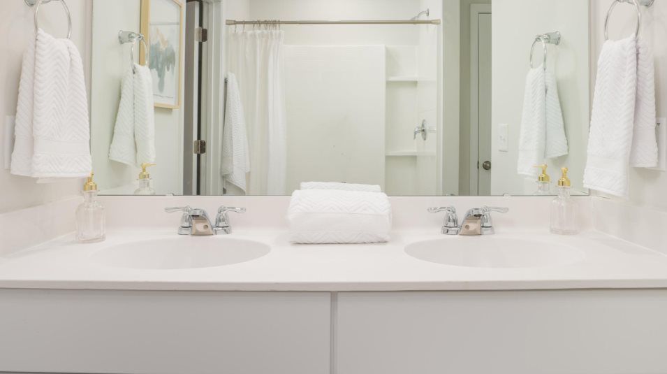 stylish vanity with dual sinks and a fiberglass shower with built-in shelves