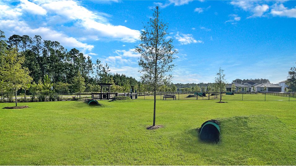 Tributary Amenities Dog Park 1of4 9 18 25