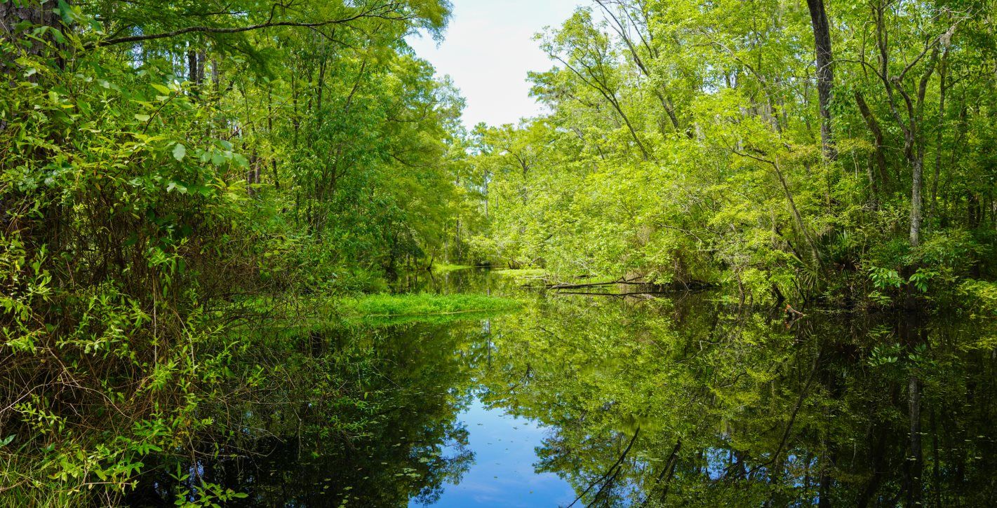 Four Creeks Park