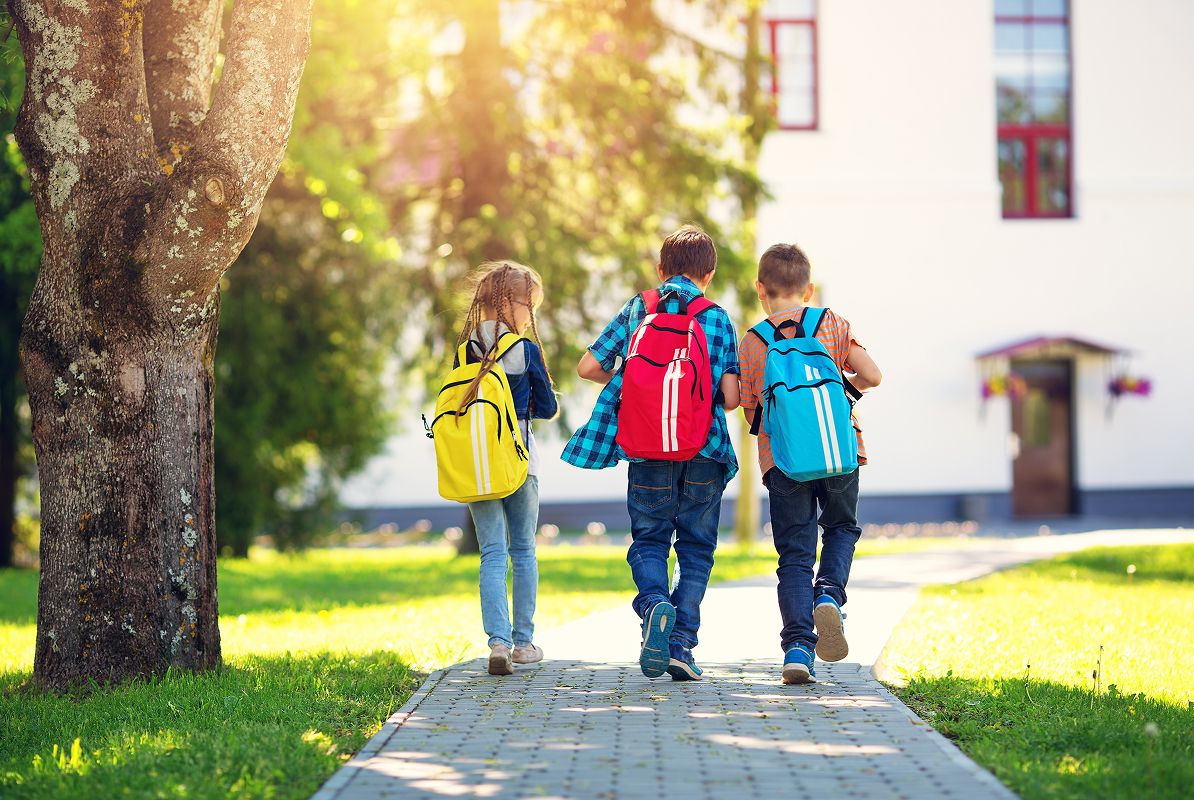 N Pic School Elementary Kids Walking Backpacks