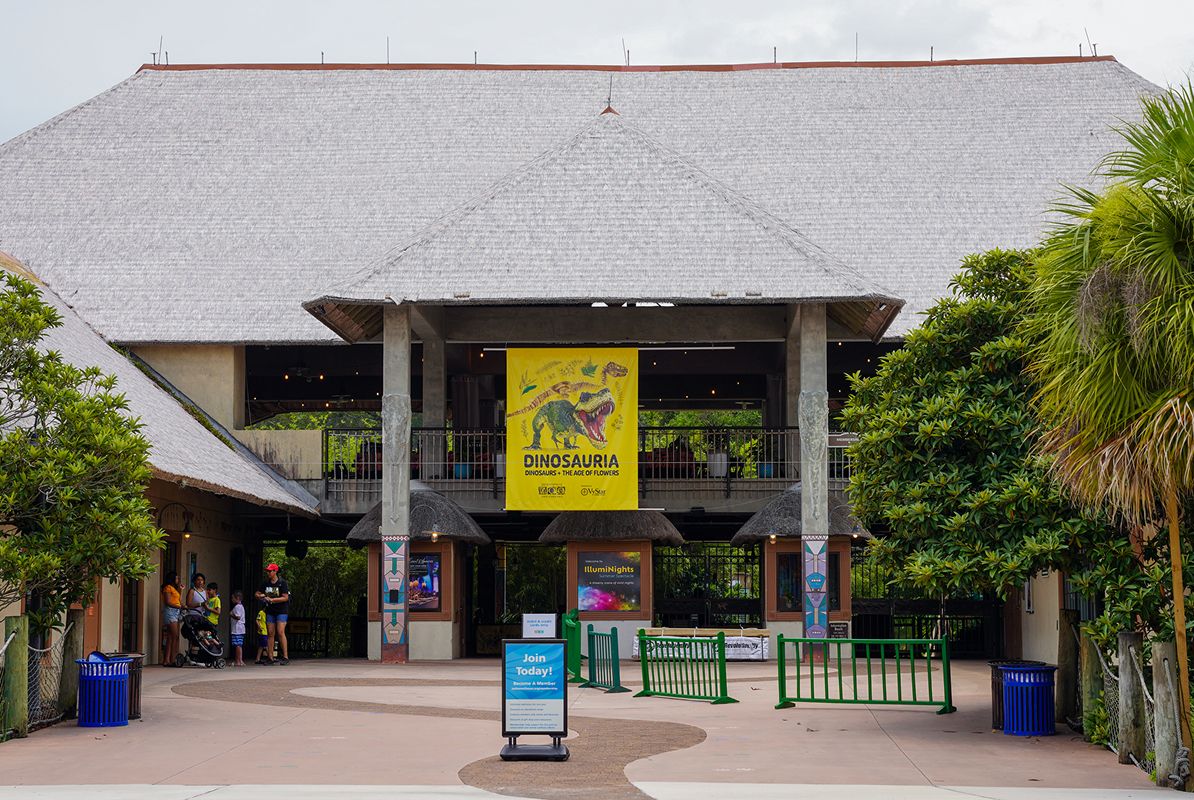 Jacksonville Jacksonville Zoo Photoshoot 2 9 11 25