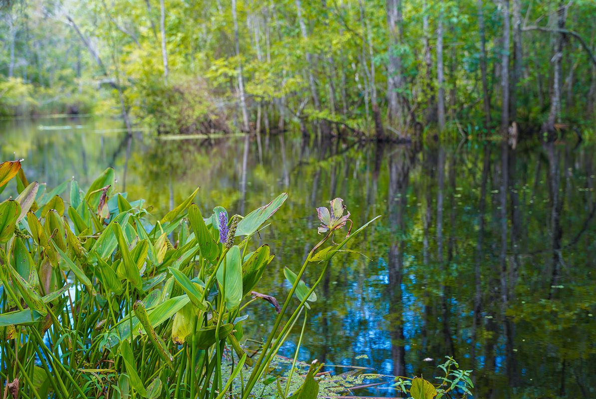 Fernandina Four Creeks Park Photoshoot 14