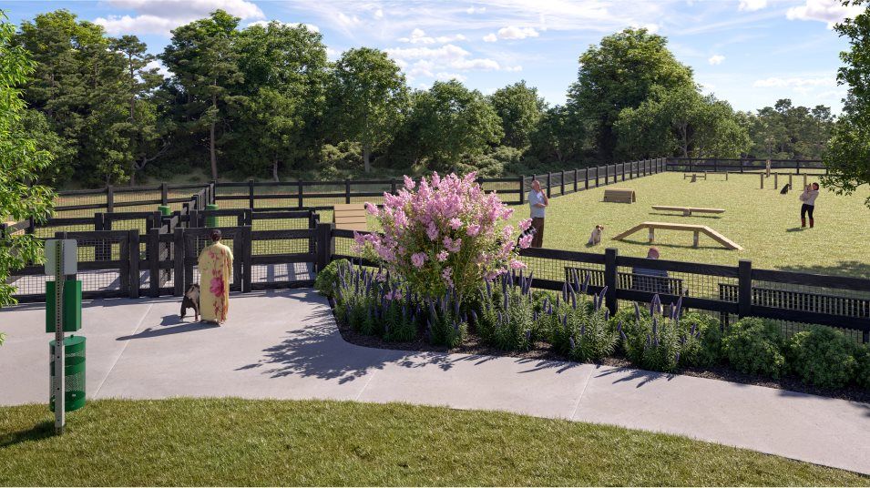 Saddle Oaks Dog Park