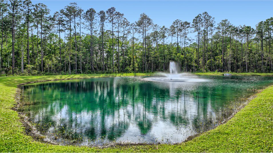 Saddle Oaks pond