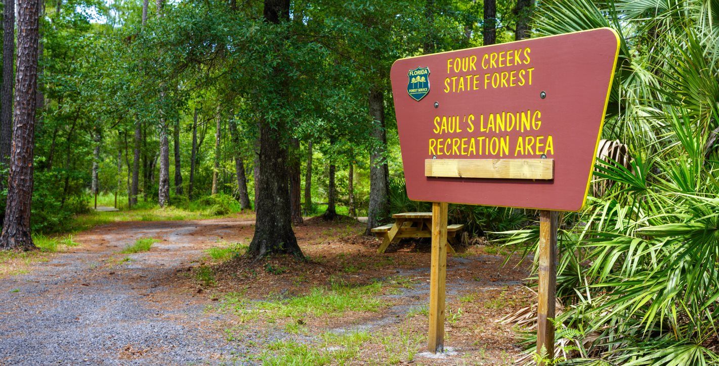 Four Creeks State Forest