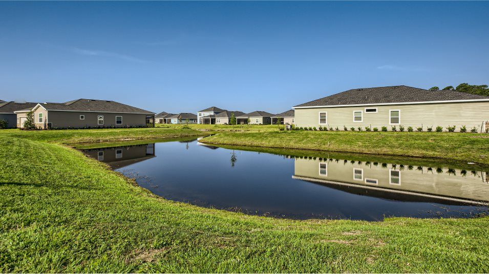 Pond