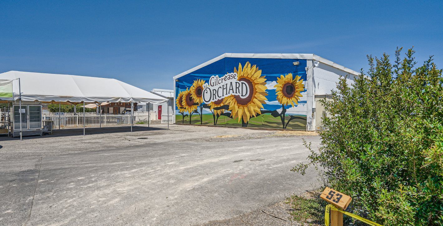 Las Vegas Gilcrease Orchard