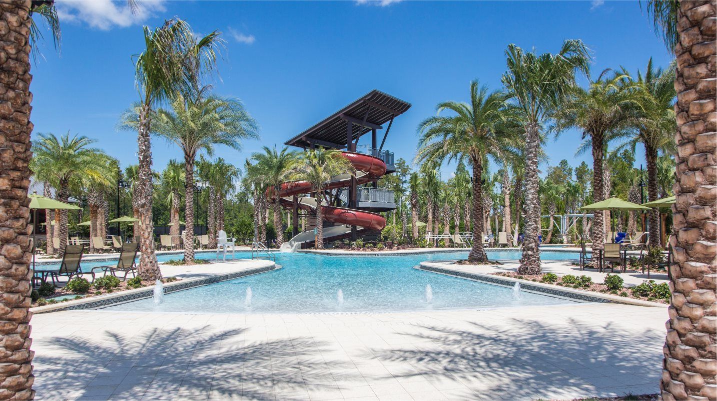 Water slide surrounded by palm trees