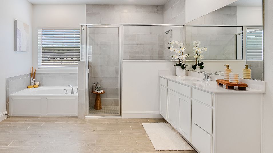 Silver Meadows Medallion Bonus II EI Owners Bath 1 F1 8 8 25
