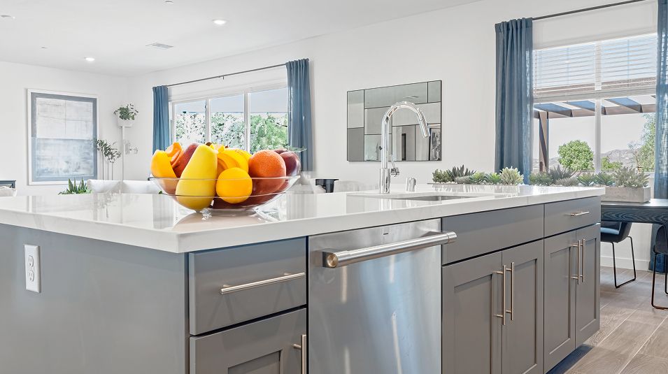 Divisional EI Dishwasher F1