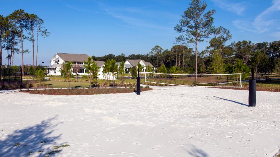 Volleyball court