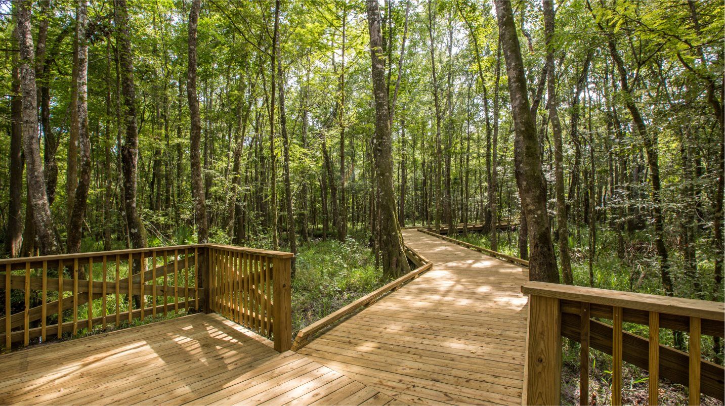 Boardwalk trail