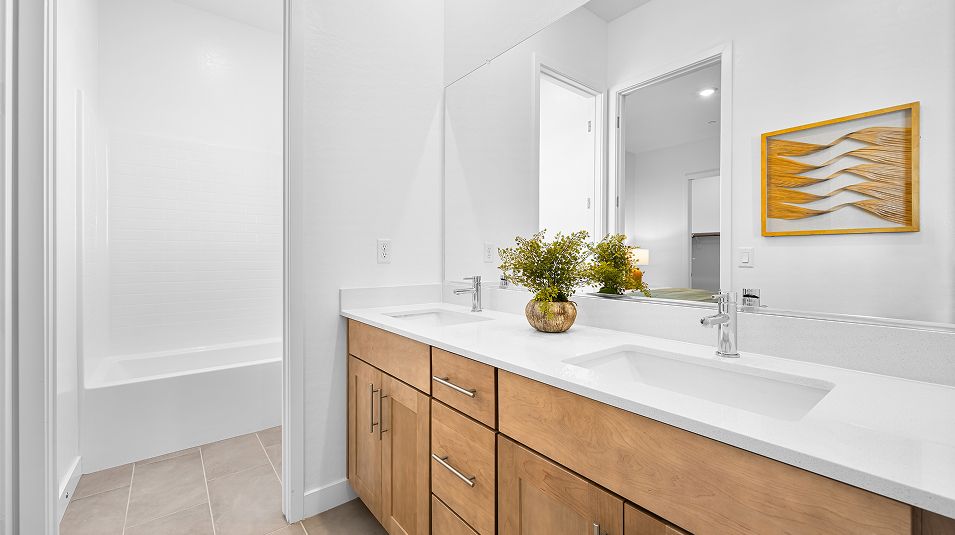 Divisional EI Bathroom Sink F1