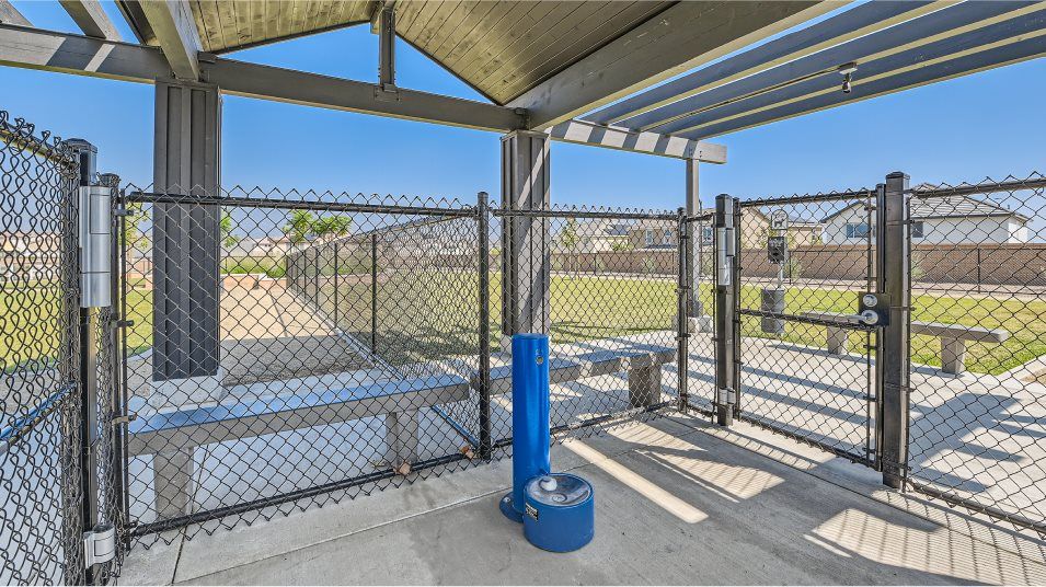 Dog drinking fountain