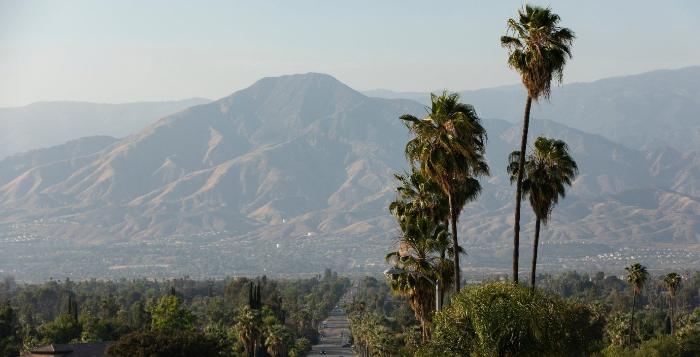 Palm trees in front of the mountainscape