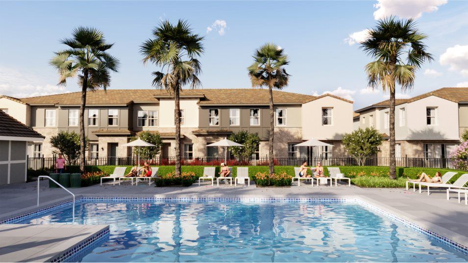 People enjoying the pool