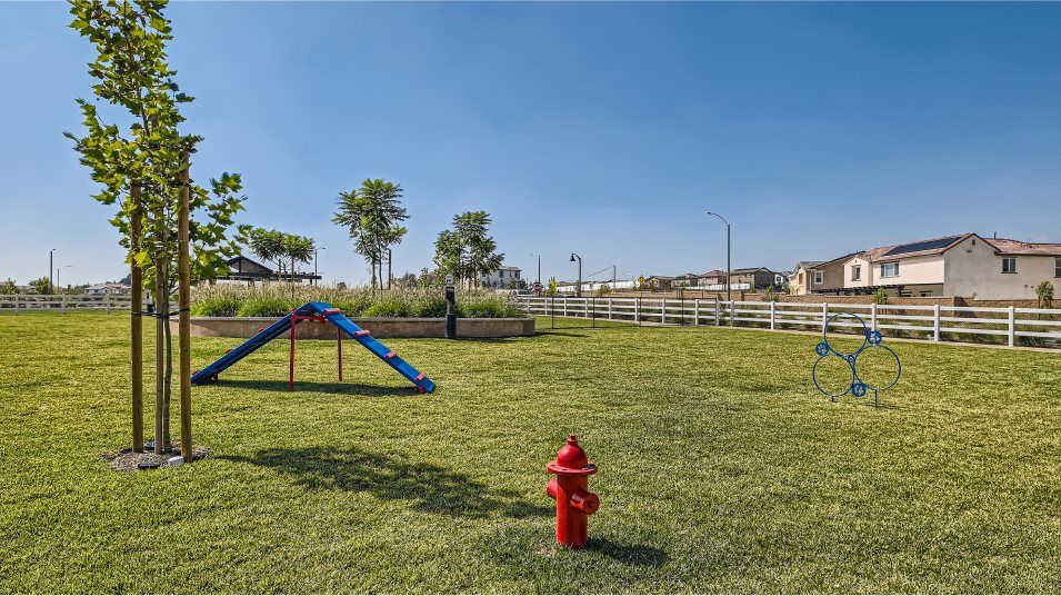 Fire hydrant and ramp at the dog park