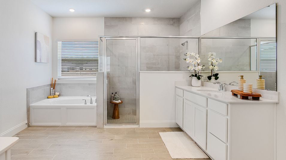 Silver Meadows Medallion Bonus II EI Owners Bath 1 F1