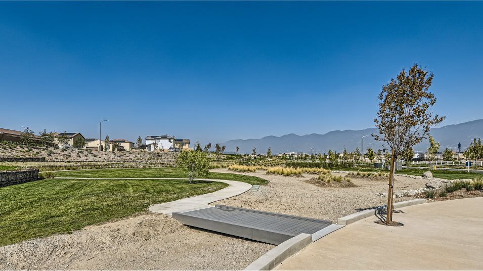 Trail leading to some community green space