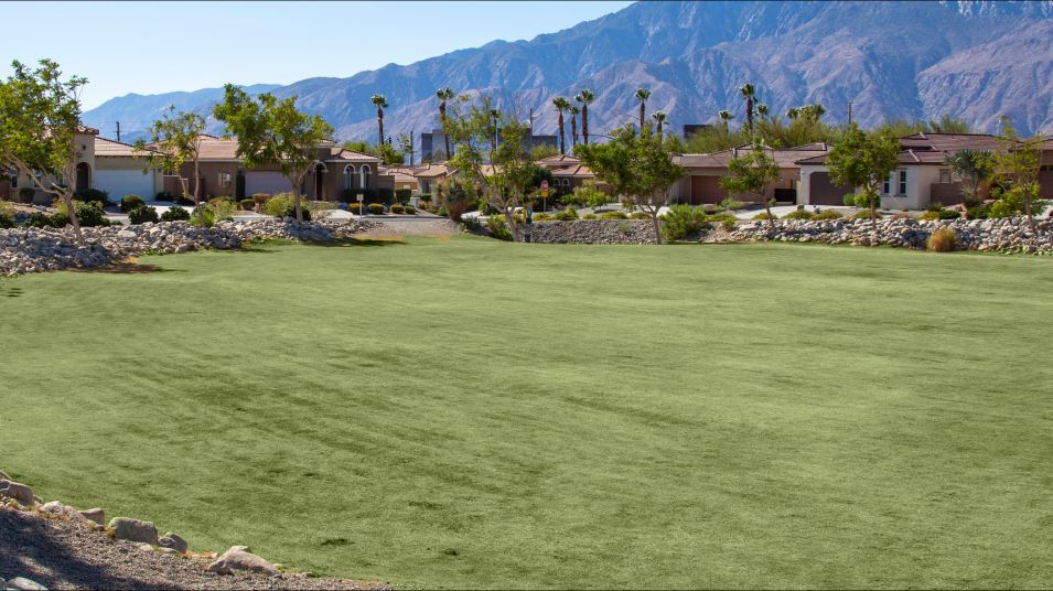Green patch