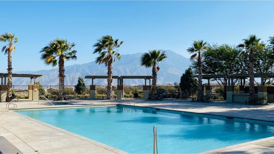 Swimming pool surrounded by palm trees and white pavement
