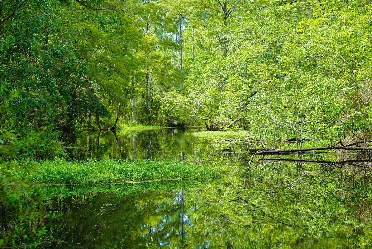 Veterans Park in St. Johns