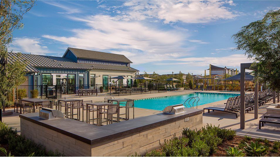 Swimming pool amenity