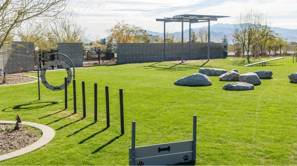 Dog Park with dog training tools