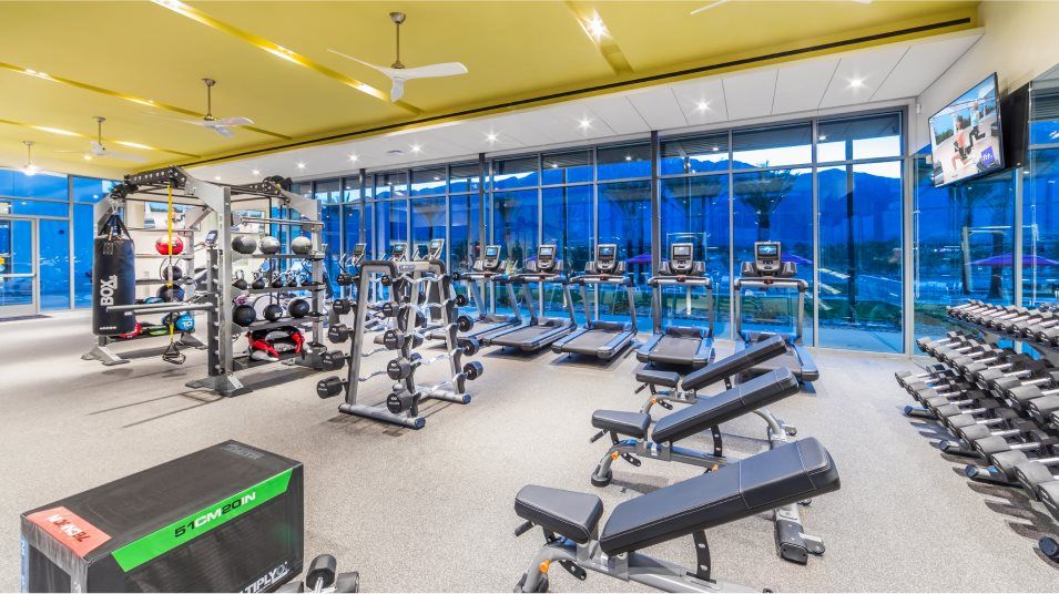Fitness center interior weight room