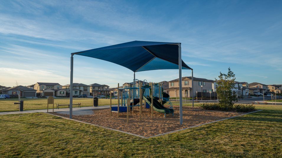 Pic Northlake Park Photoshoot