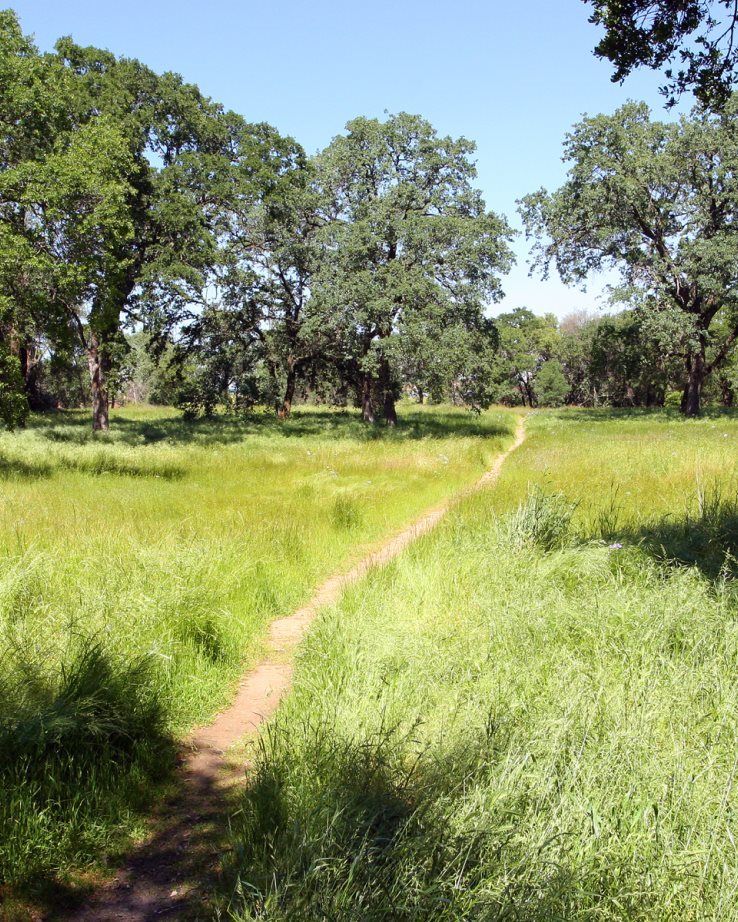 The nearby Mahany Nature Preserve is a popular spot for enjoying the Sacramento weather