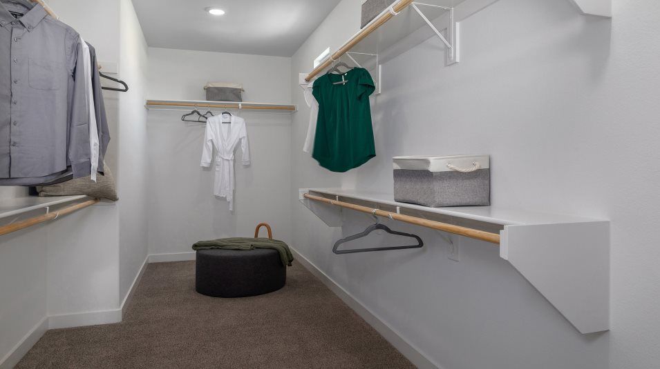 Walk-in closet interior