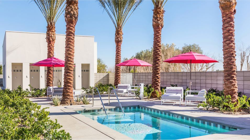 Hot tub surrounded by palm trees