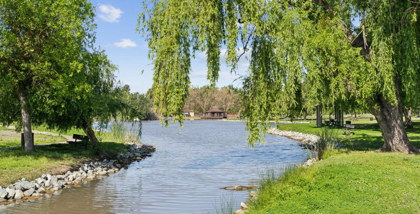 Stream going through Micke Grove Regional Park & Zoo